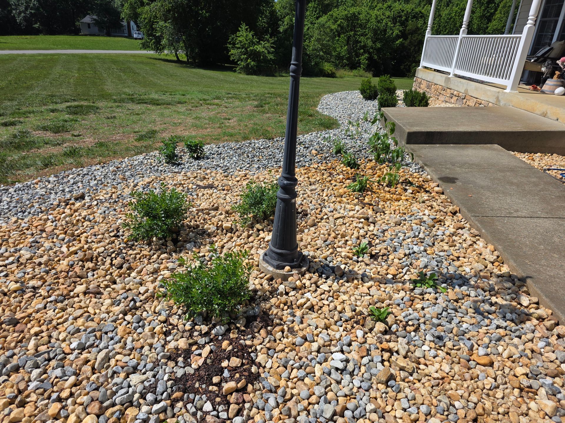 Backyard lawn with a circular mulched tree bed and a pergola decorated with red flags in the background
