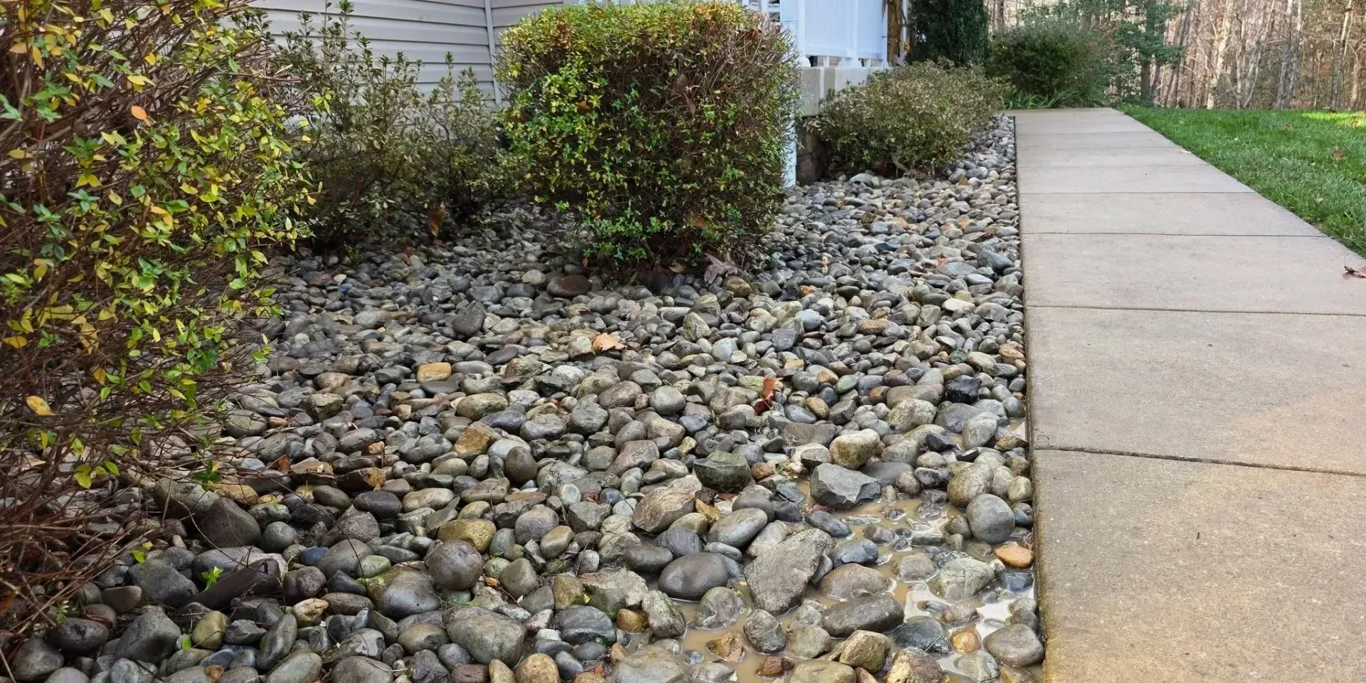 Landscaped rock bed with small shrubs beside a concrete sidewalk and green grass