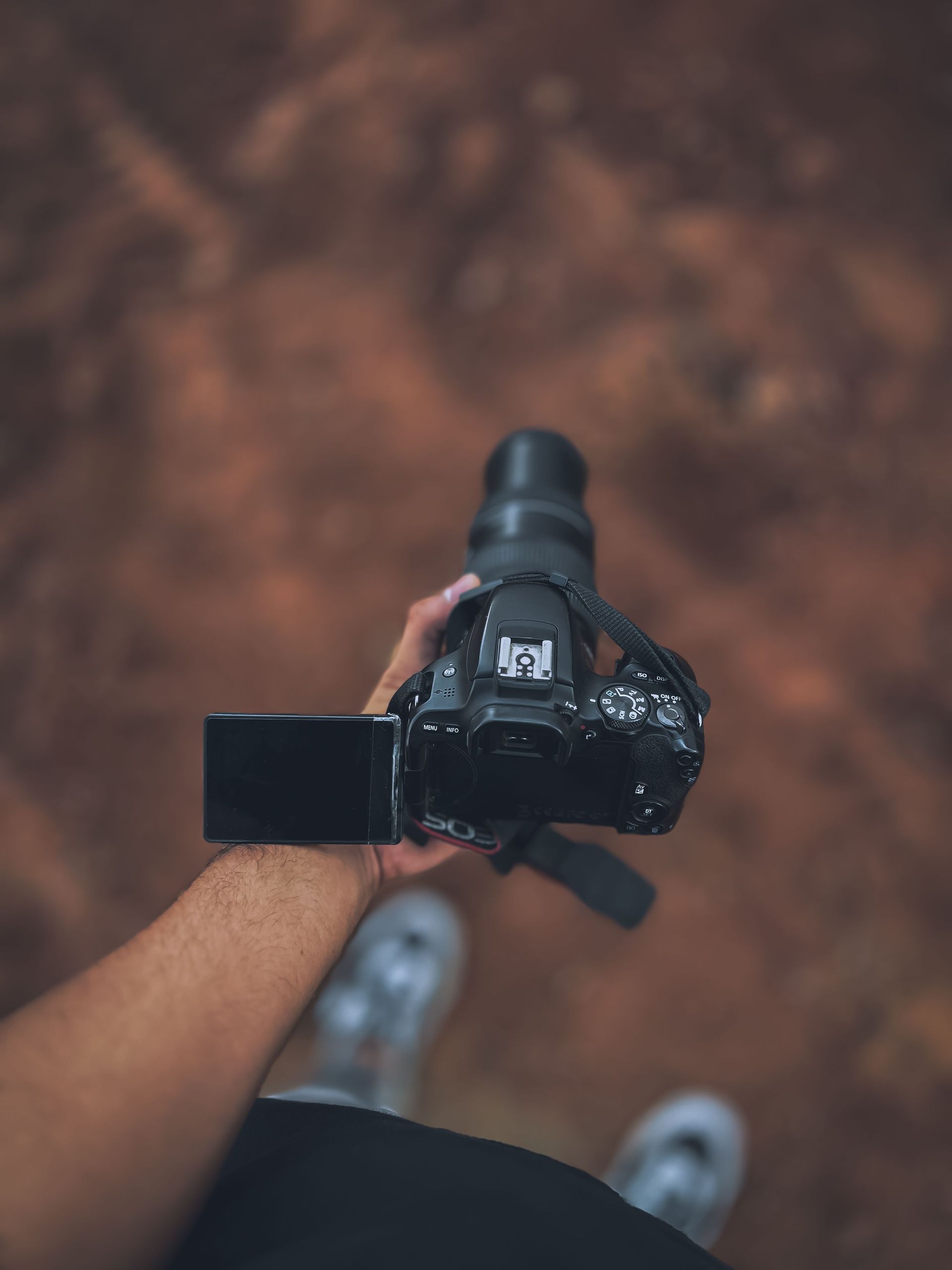Person holding a DSLR camera with a flip-out screen, viewed from above against a blurred outdoor background