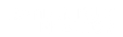 Damian Ruiz Logo Damian Ruiz Logo
