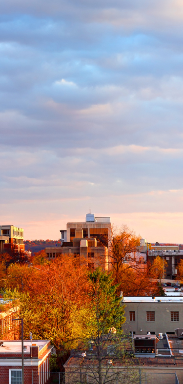 Autumn city skyline with orange trees and pastel sunset clouds