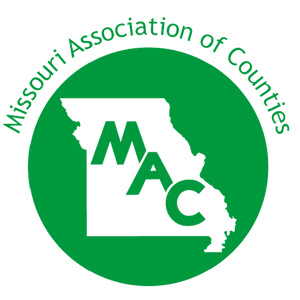 IACE Logo
