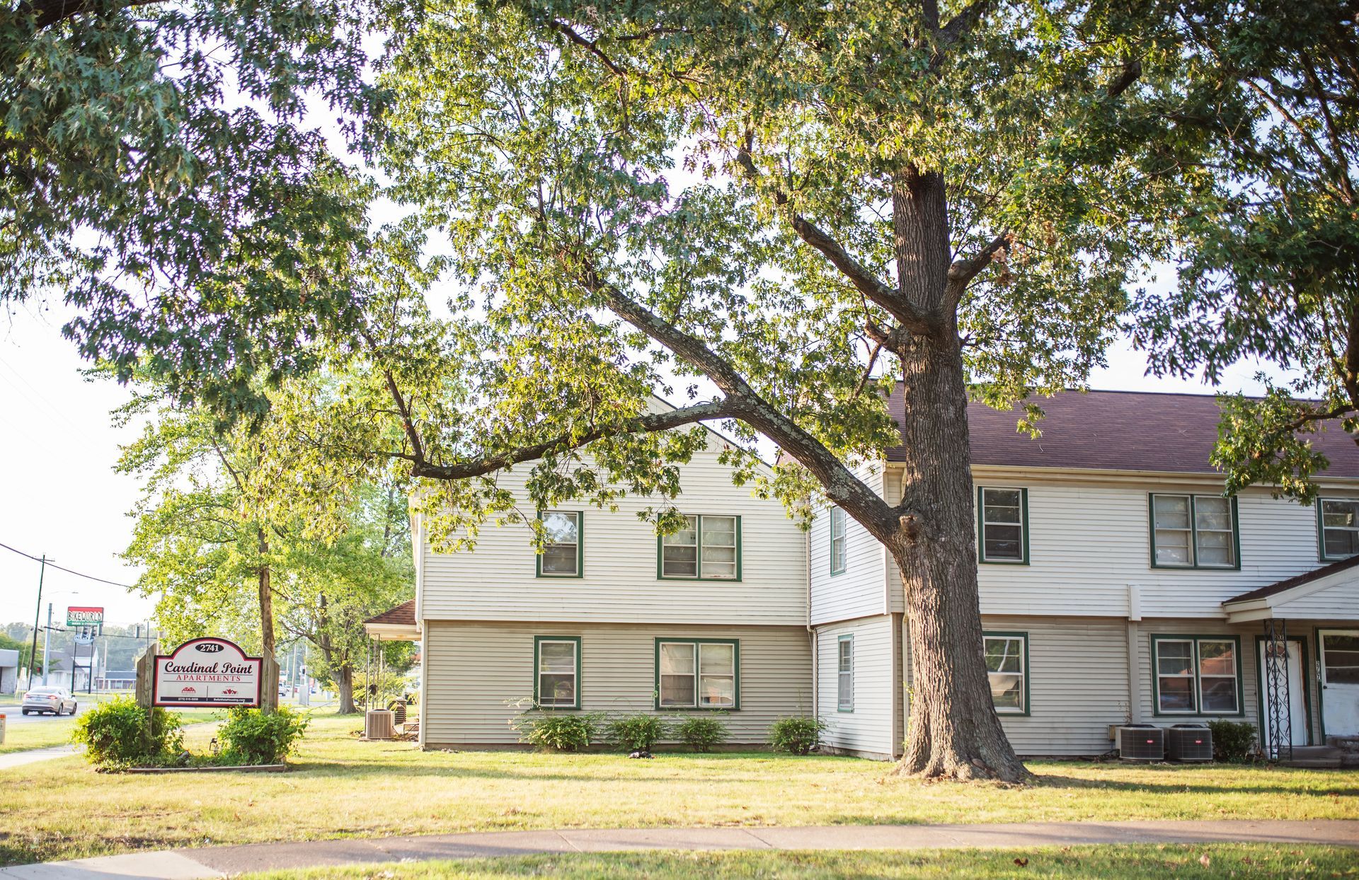 A house with a large tree in front of it.