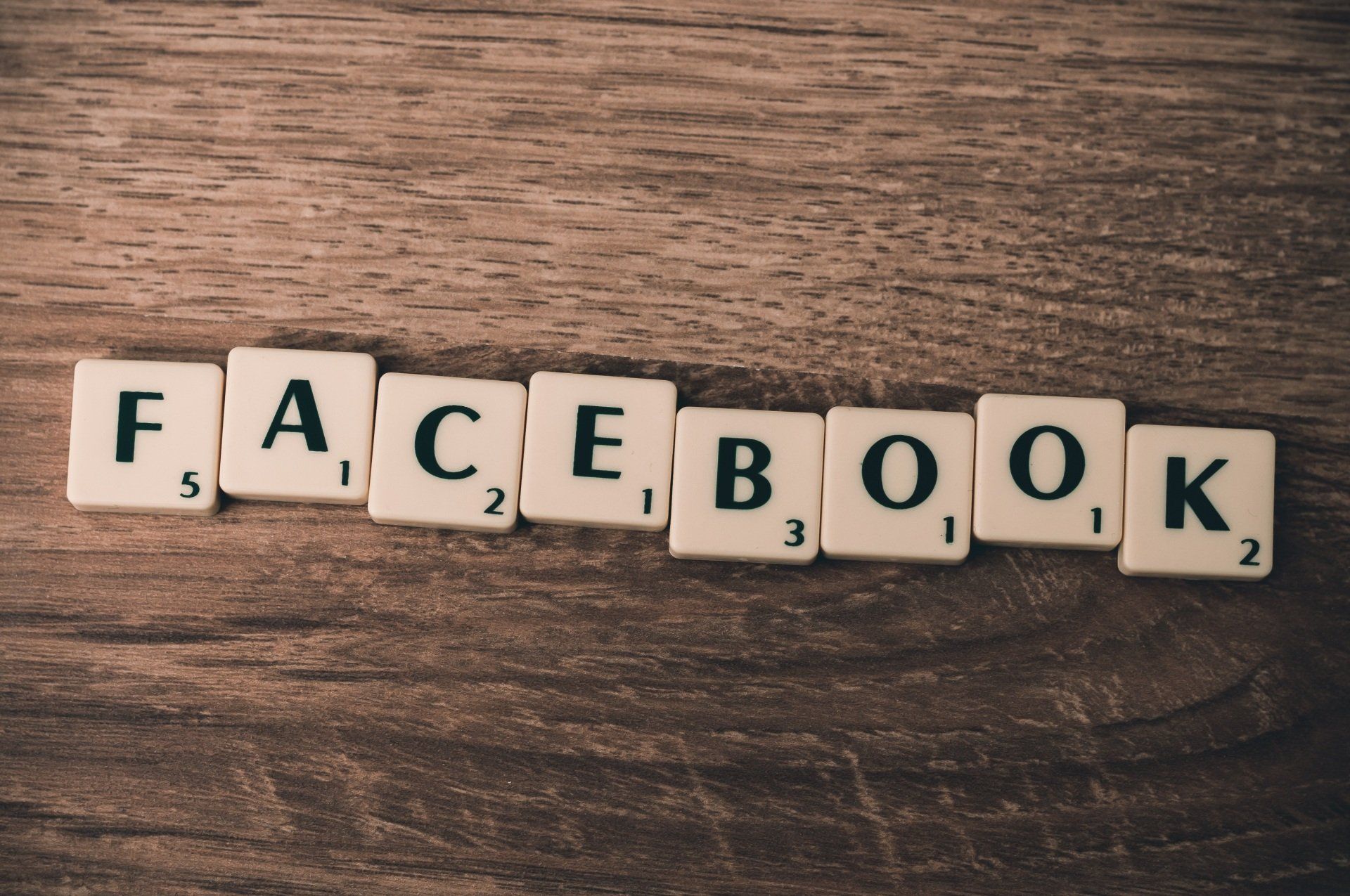 Working Dog Marketing SEO Social Media Ads