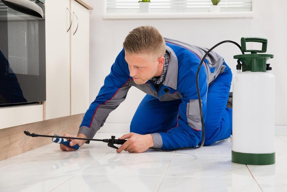 A Man Is Spraying A Kitchen Floor With A Sprayer — X-Terminate Pest Control In Imbil, QLD