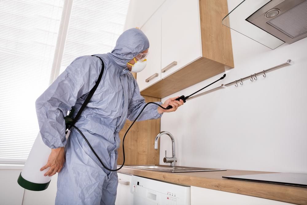 A Man In A Protective Suit Is Spraying A Kitchen With A Sprayer — X-Terminate Pest Control In Cooroy, QLD