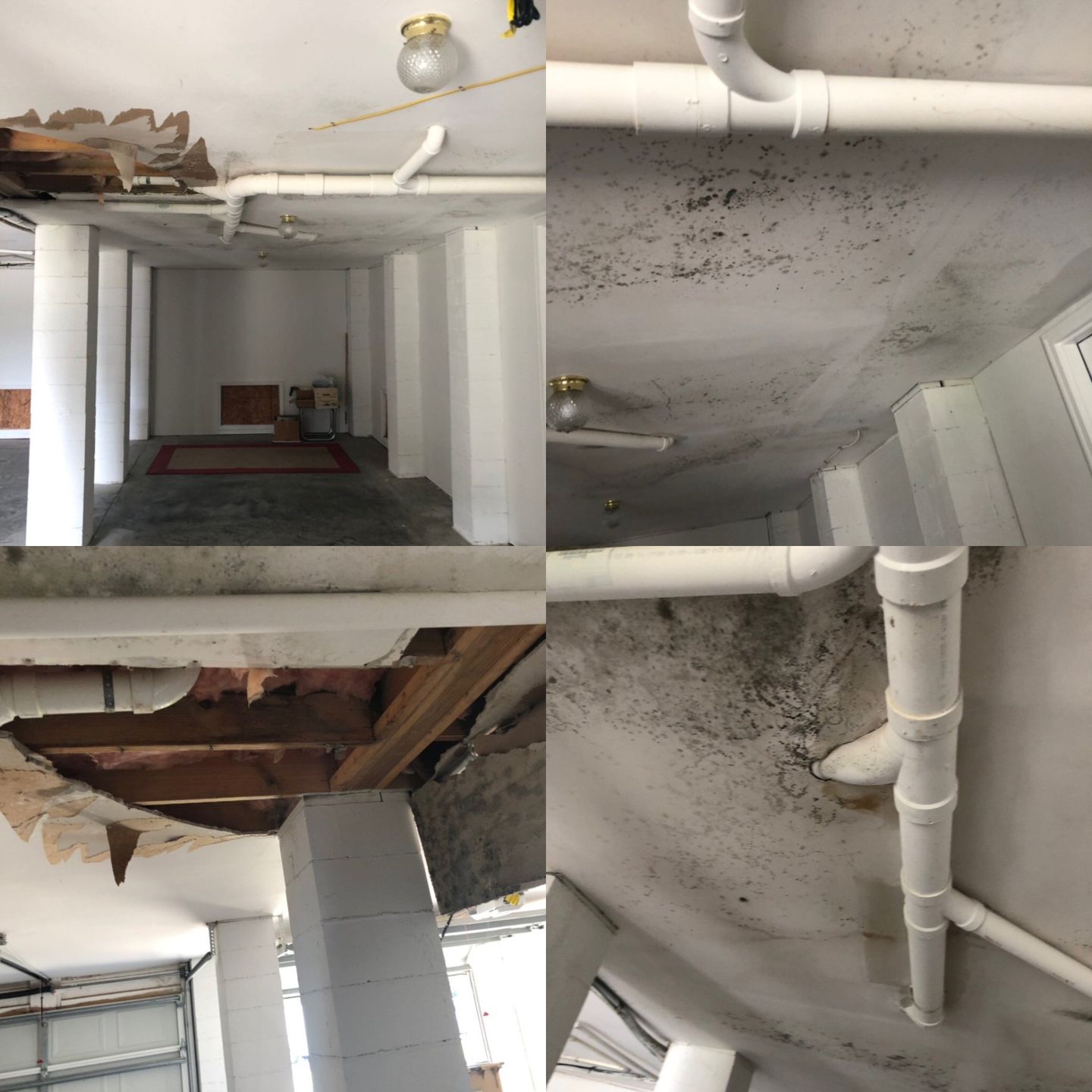 Basement Renovation — Rincon, GA — Centaur Home Renovations