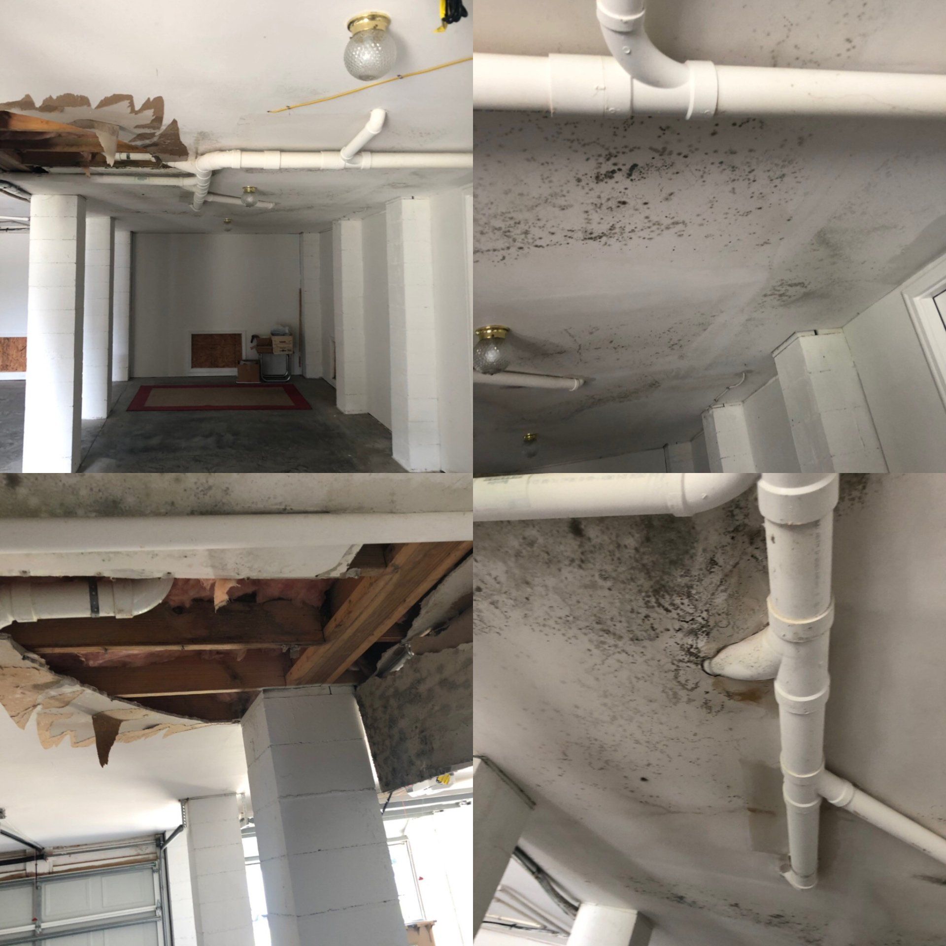 Basement Renovation — Rincon, GA — Centaur Home Renovations