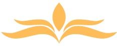 ICONA LOGO
