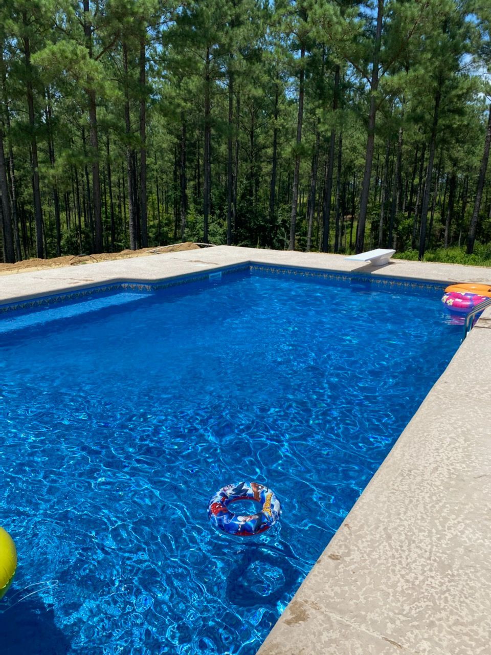 Blue swimming pool with a diving board and trees in the background.