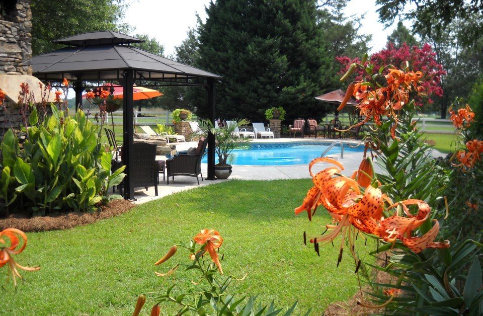 Lush backyard with a pool, gazebo, and orange tiger lilies. Green grass, blue pool, and sunny day.