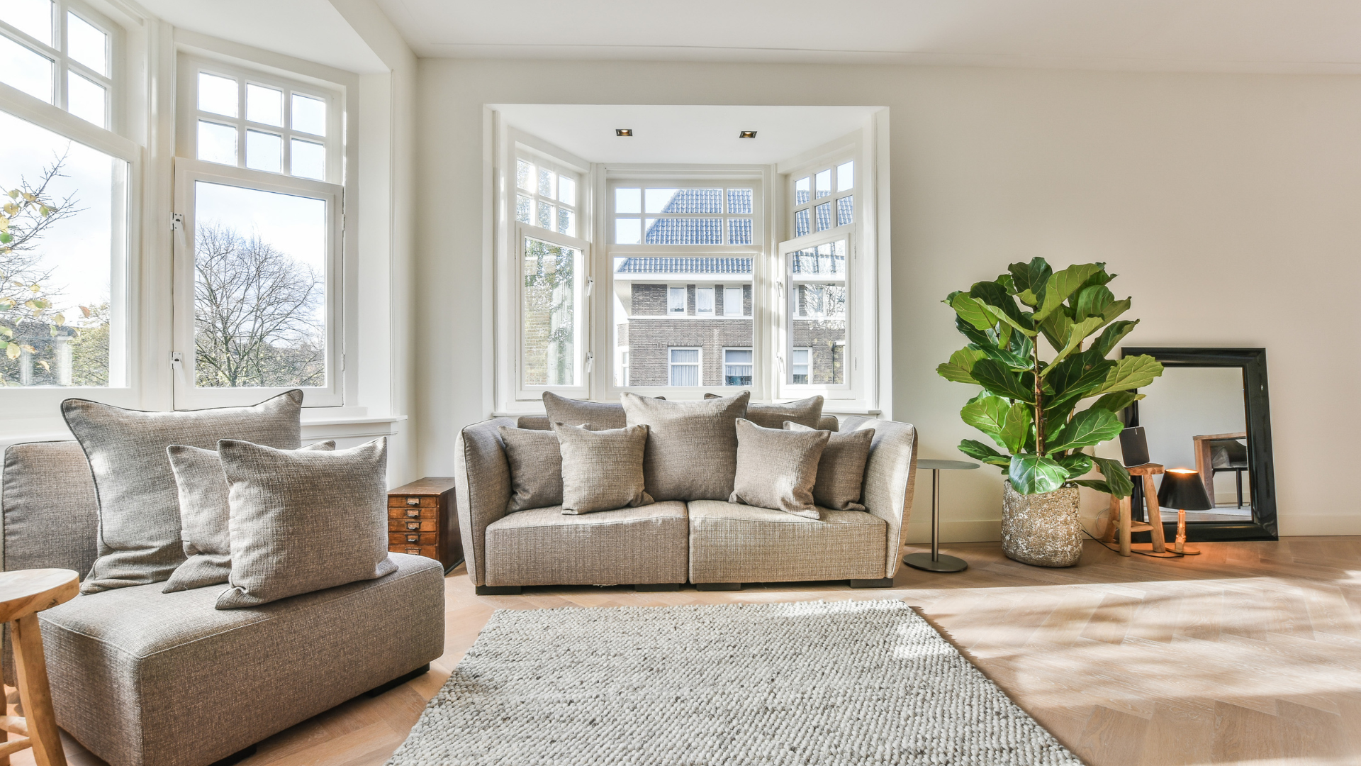 Bright living room with gray sofas, large windows, a rug, and a potted plant in a sunlit corner.