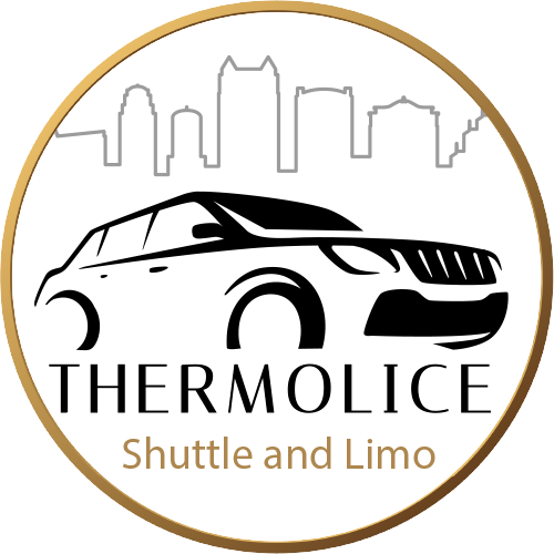 Home Thermolice Icon