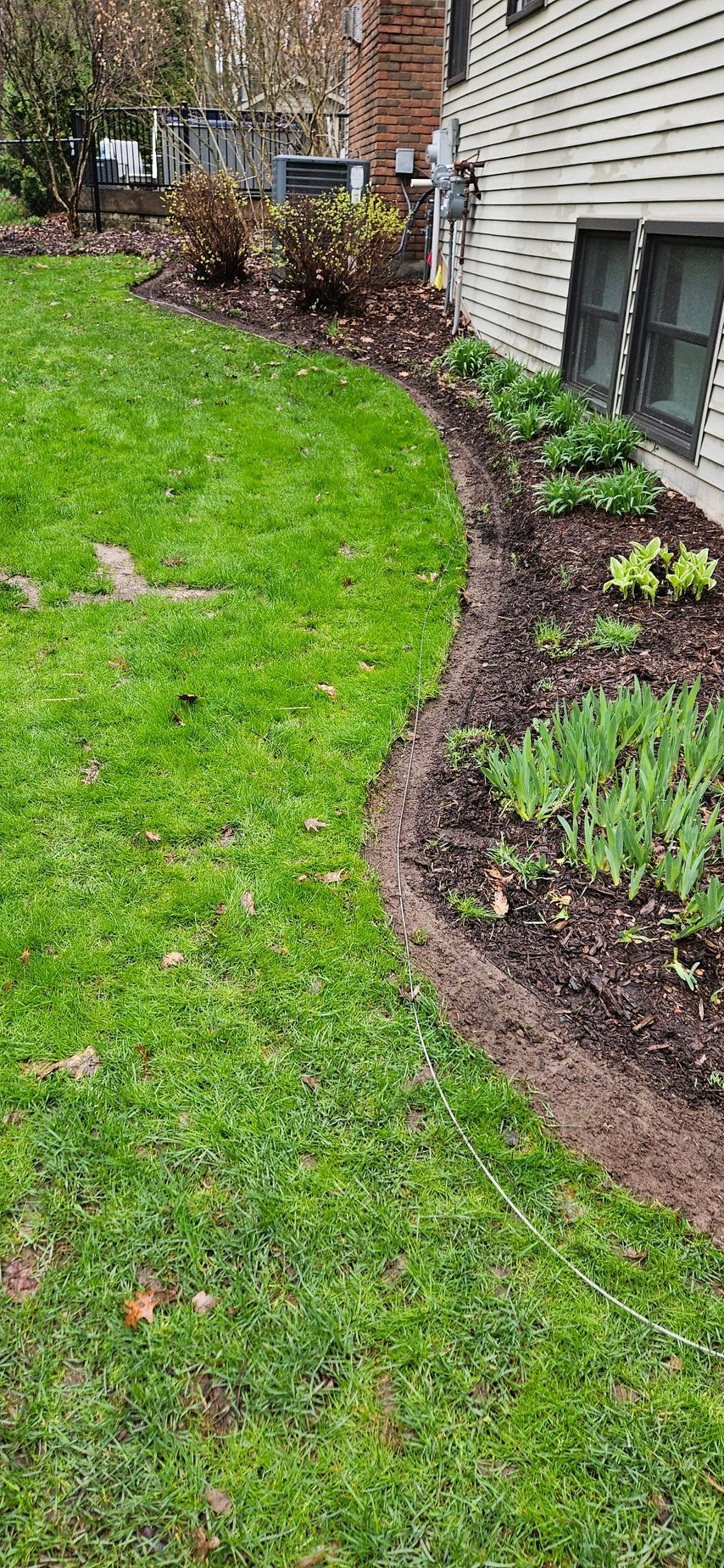 Curved mulch flower bed along a house beside a green lawn with shrubs and winter plants