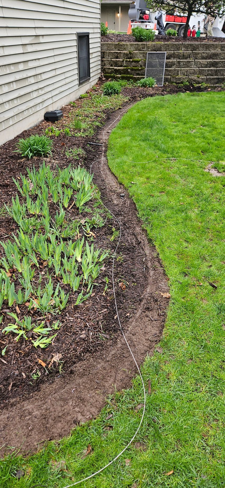Curved mulched garden bed with purple flowers along a house beside a green lawn.
