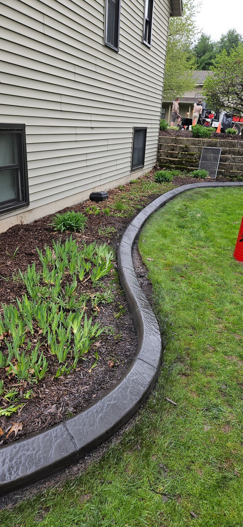 Curved concrete edging beside a house, bordering a mulch bed with young plants and grass in a yard