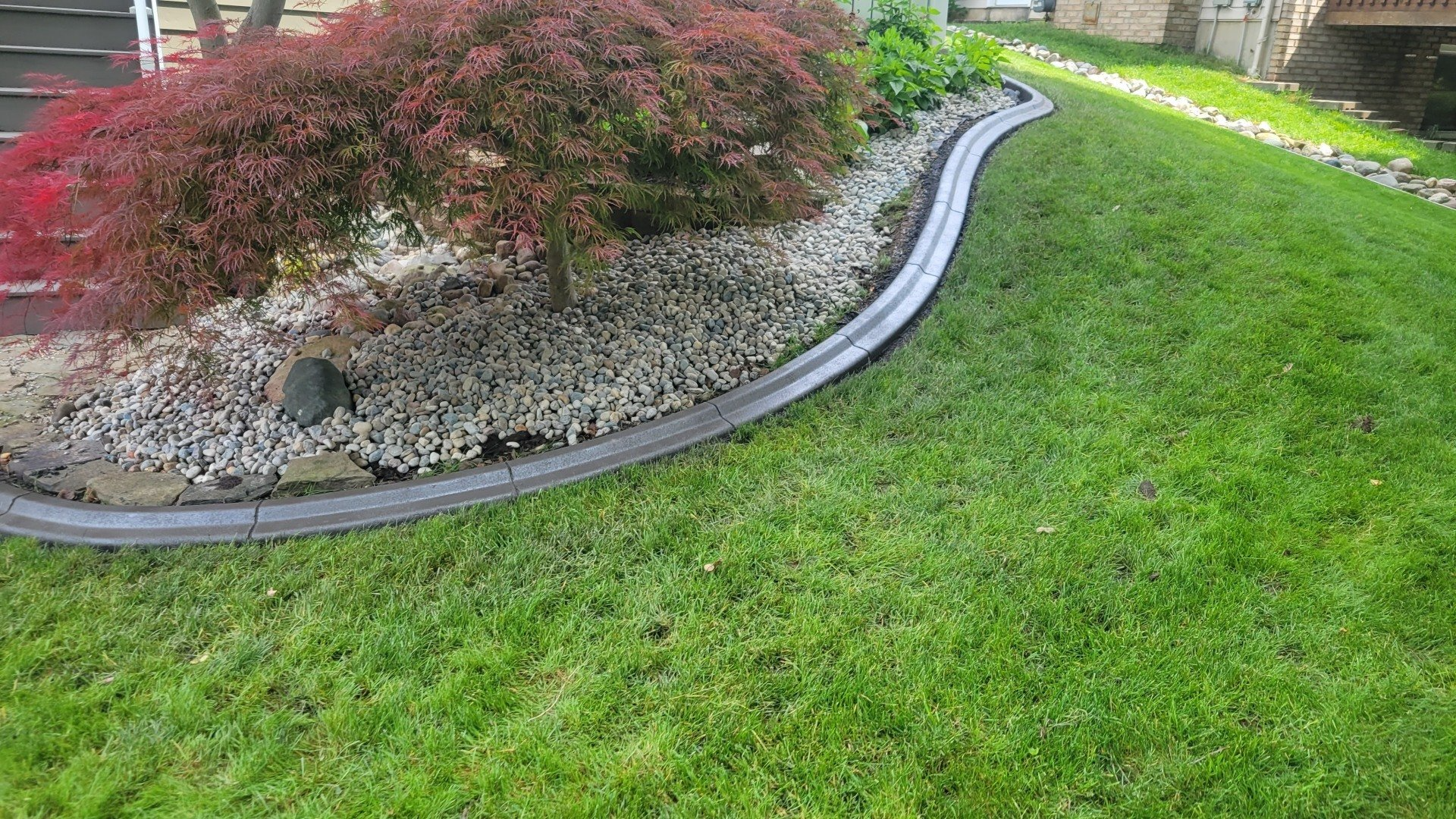A Japanese maple and mulch bed are separated from a green lawn by a dark, curved concrete garden border.
