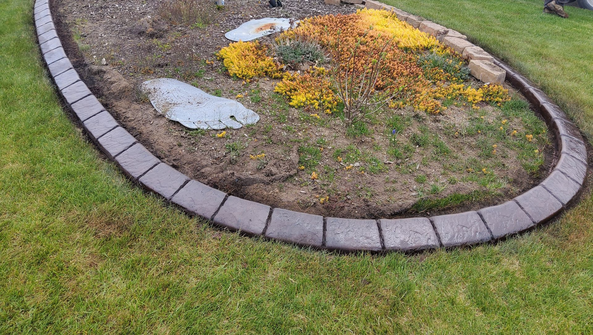 An oval garden bed edged with gray rectangular paving stones, surrounded by green grass and containing small plants.