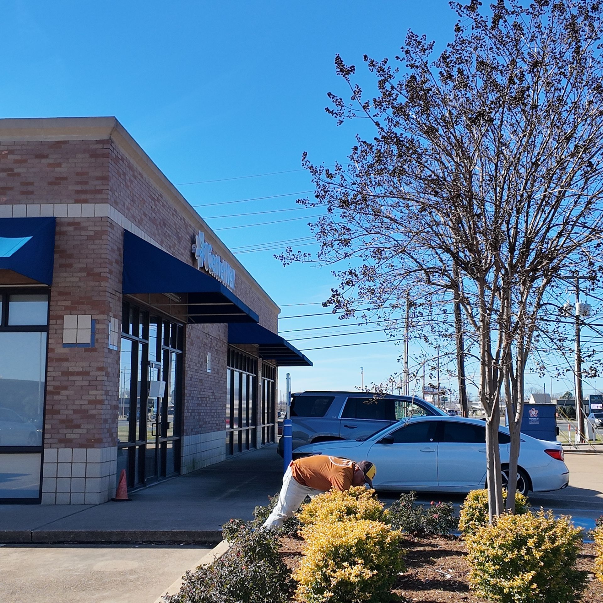 Commercial Landscaping