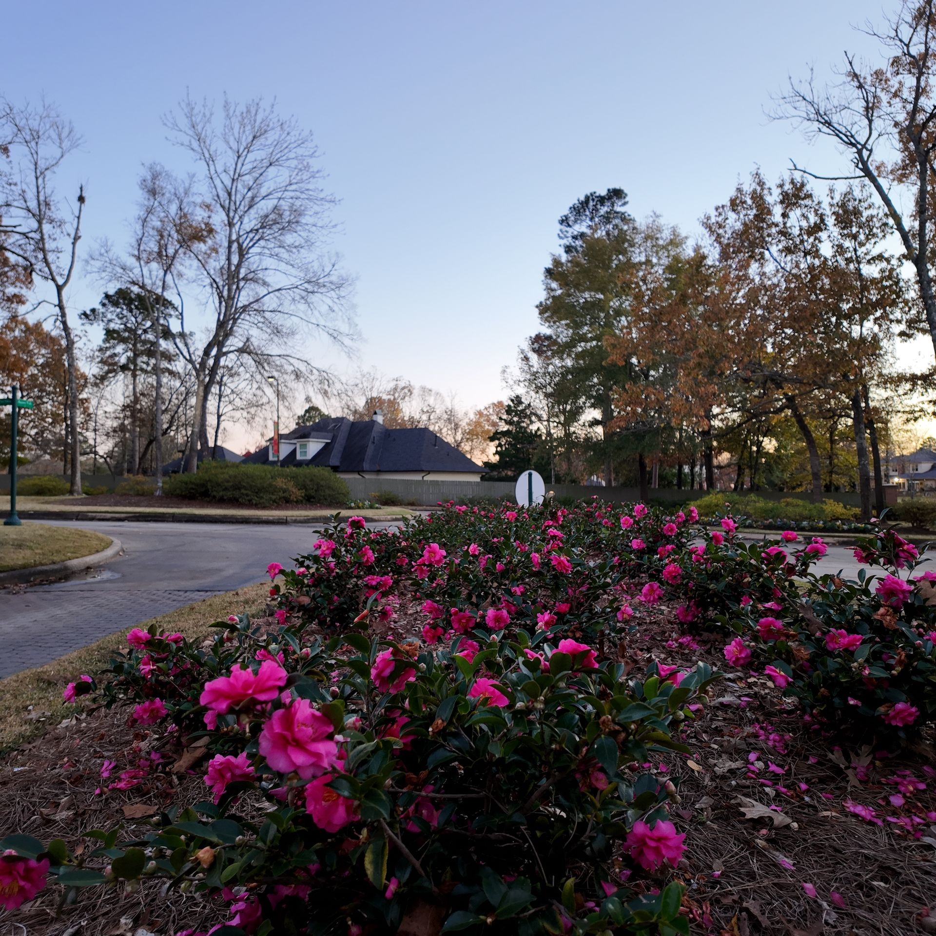 Landscape Maintenance