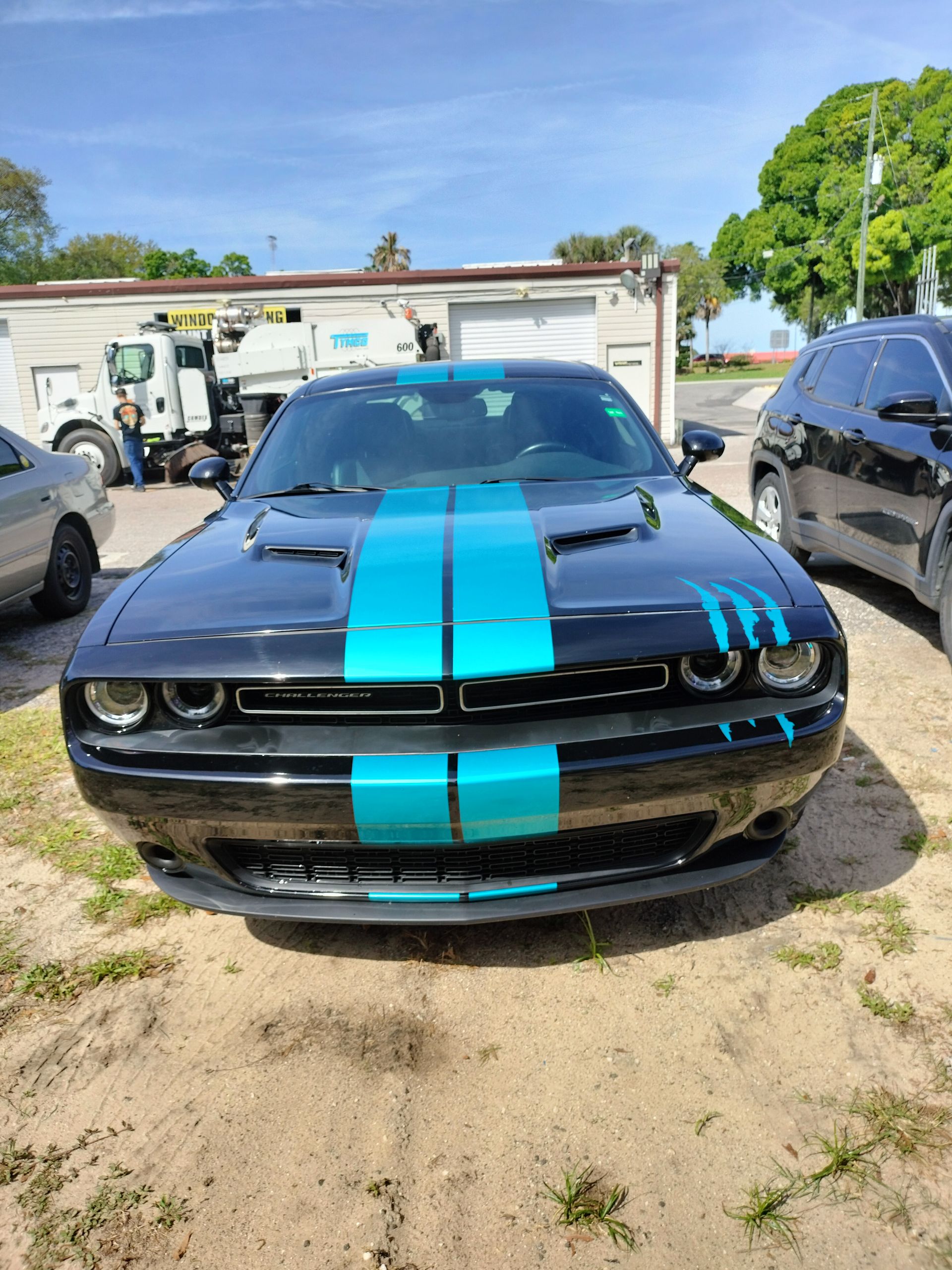 Black Dodge Challenger with teal racing stripes, parked outside, sunny day.