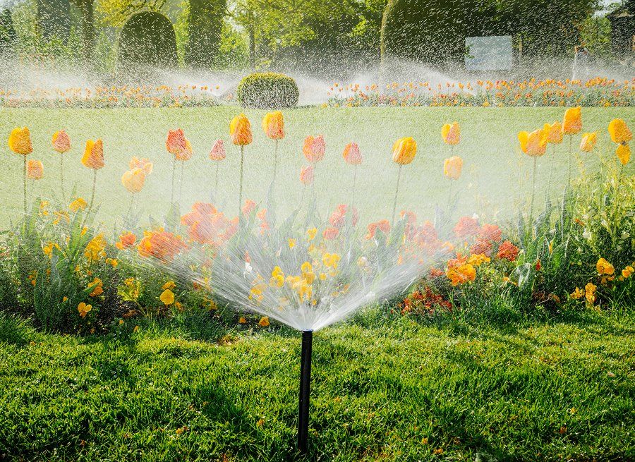 Irrigation