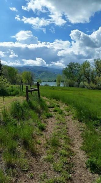 A dirt path going through a grassy field with a wooden fence.