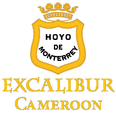 excalibur cameroon