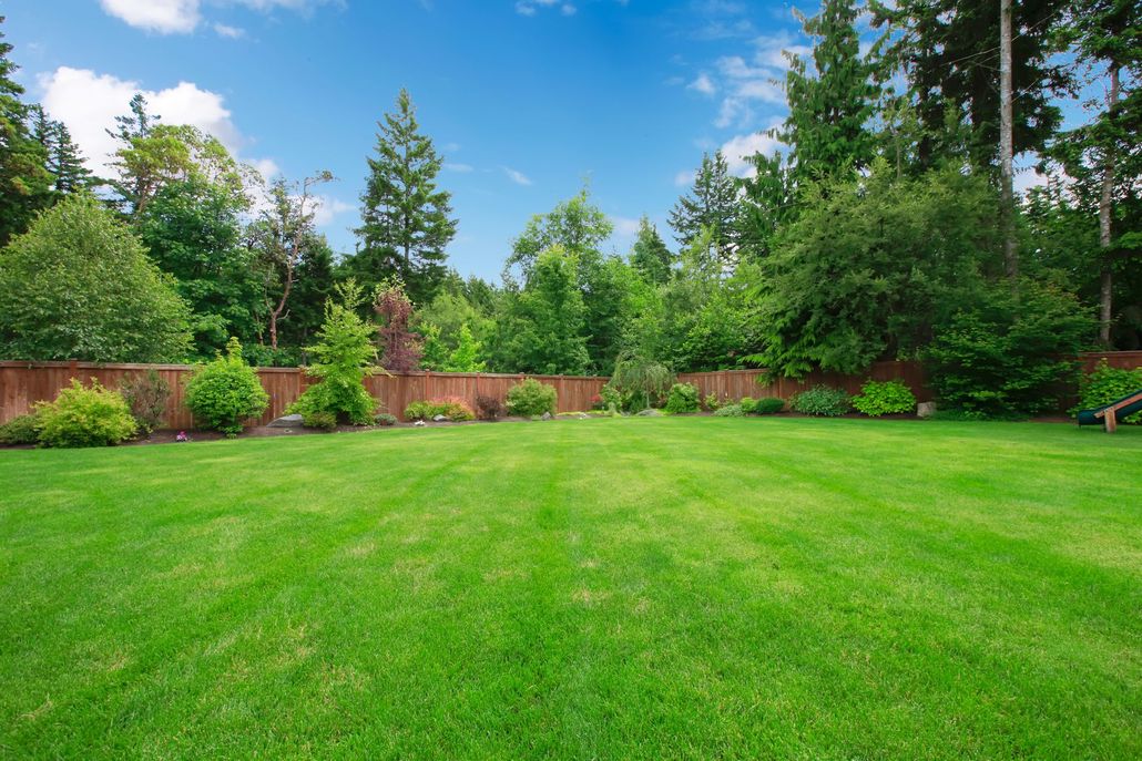 About Almost Free Lawn And Garden