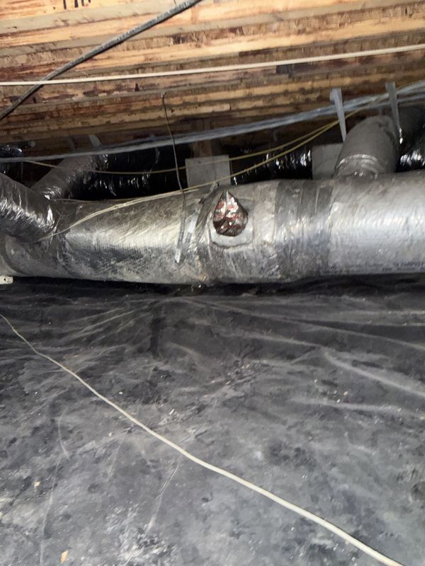 Insulated ductwork in a crawl space with a small opening in the silver wrap exposing damaged material.