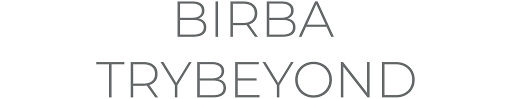 Birba trybeyond logo