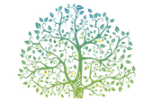 A tree with lots of leaves and branches on a white background.