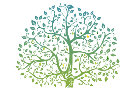 A tree with lots of leaves and branches on a white background.