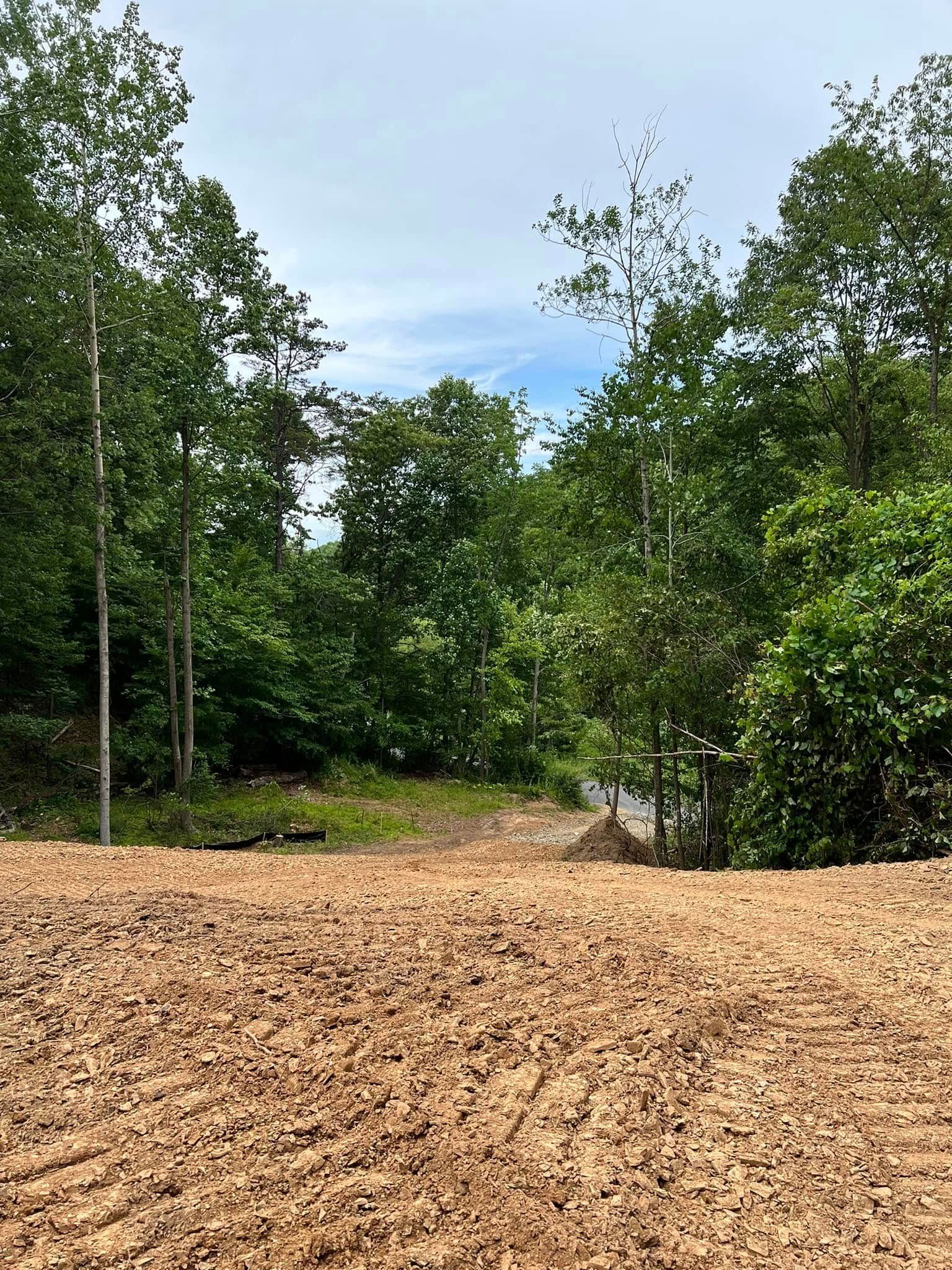 Wooded clearing with a tan gravel path and green trees under a partly cloudy sky