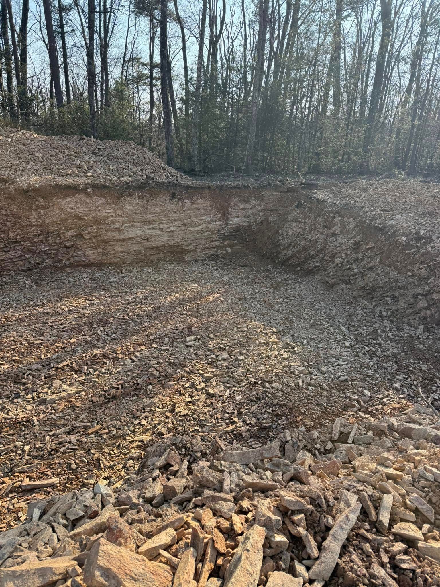 Cleared dirt embankment in a wooded area with fallen leaves and tree stumps in the foreground
