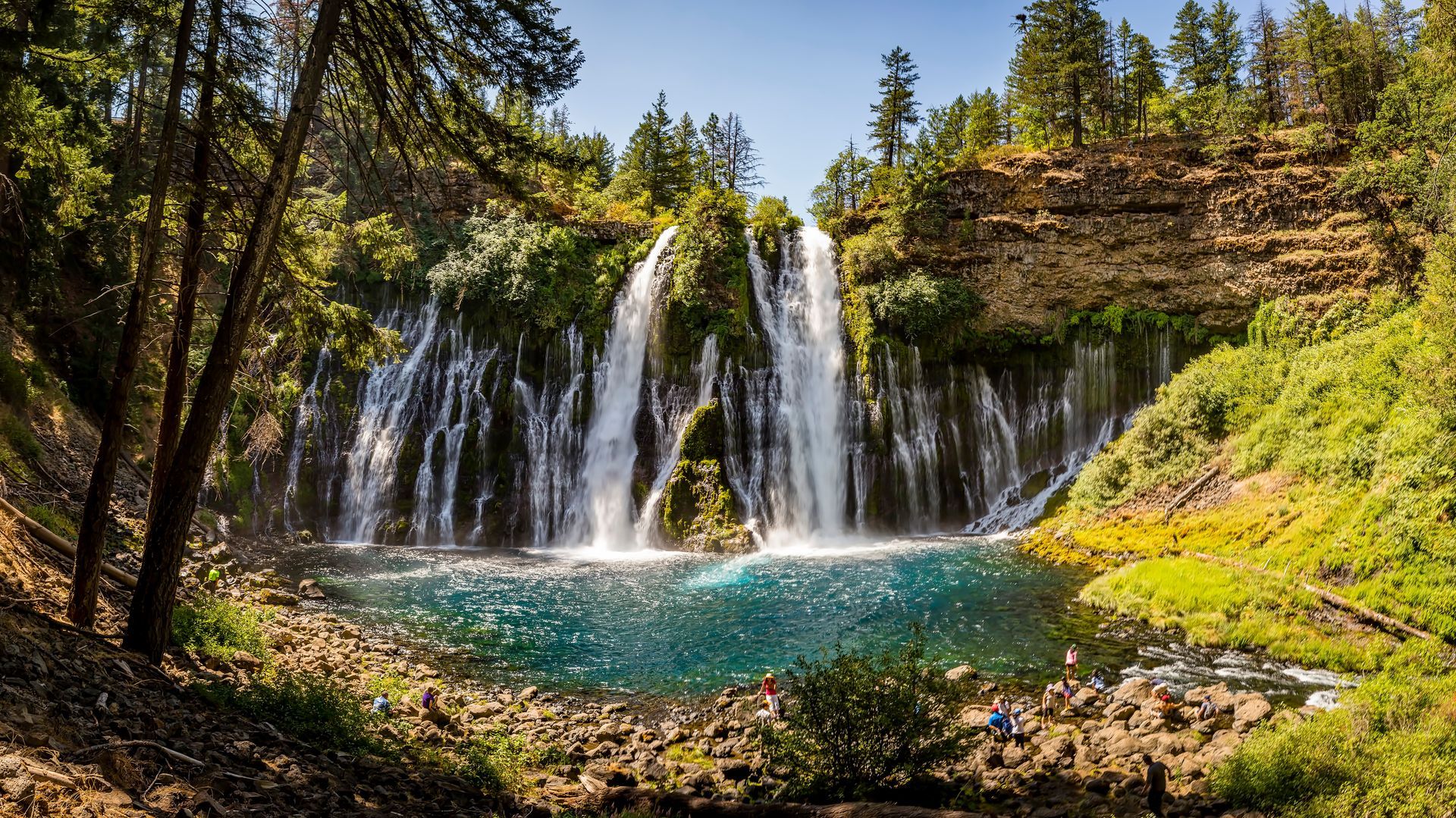 Beautiful waterfall in nature surrounded by trees and big rocks