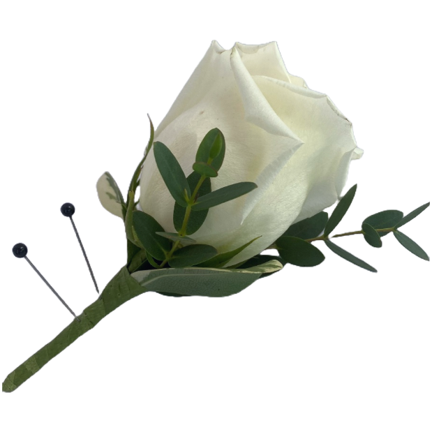 White rose boutonniere with green foliage and dark pins on a white background.