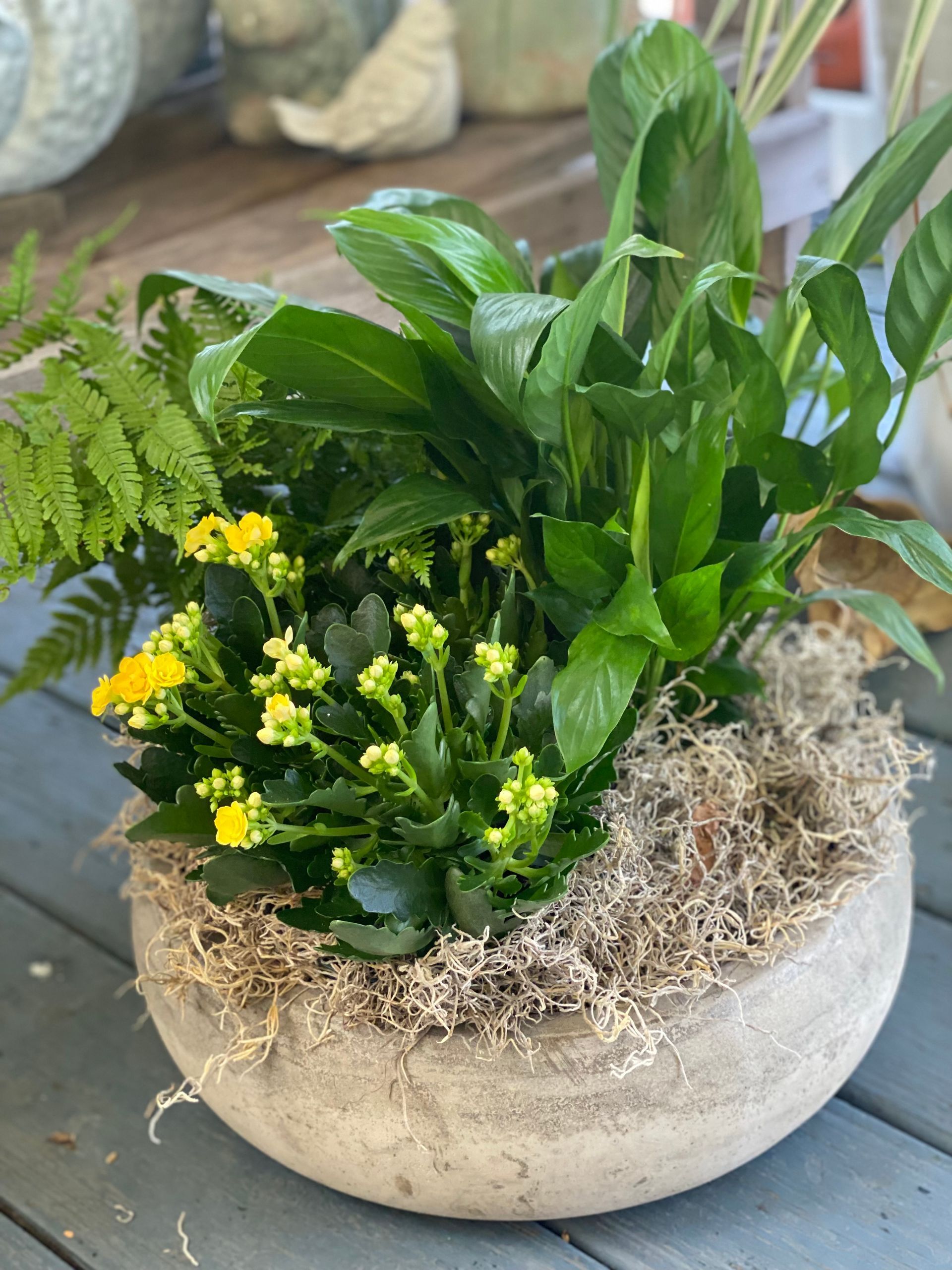 A round gray planter filled with green plants and yellow flowers, moss on the soil.