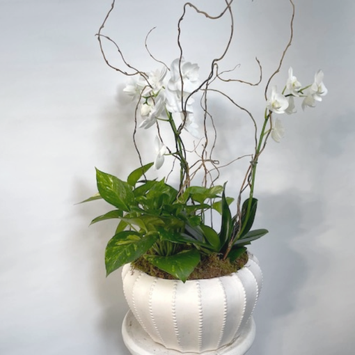 White orchid and green plants in a white textured pot with tall, twig-like branches against a white background.