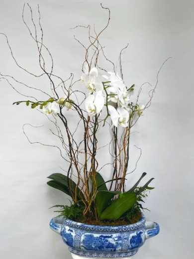 White orchids in a blue and white decorative bowl with branches and greenery.