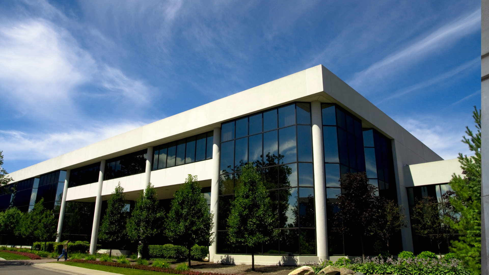 Window Film