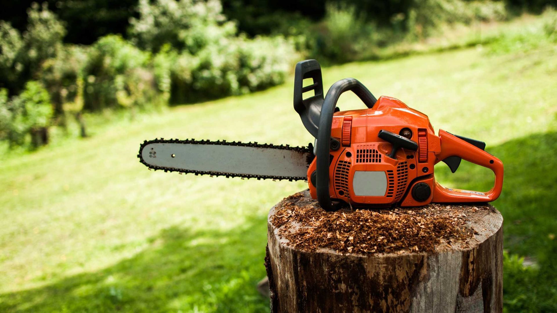 A chainsaw is sitting on top of a tree stump.