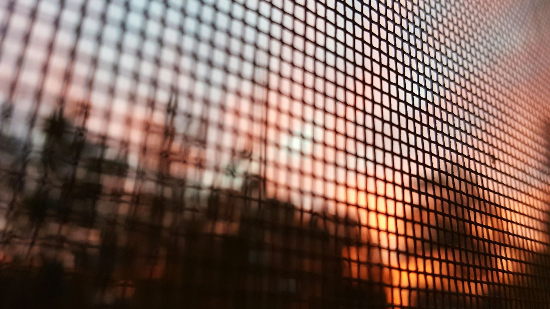 Sunset seen through a window screen: orange and pink hues with silhouetted trees.