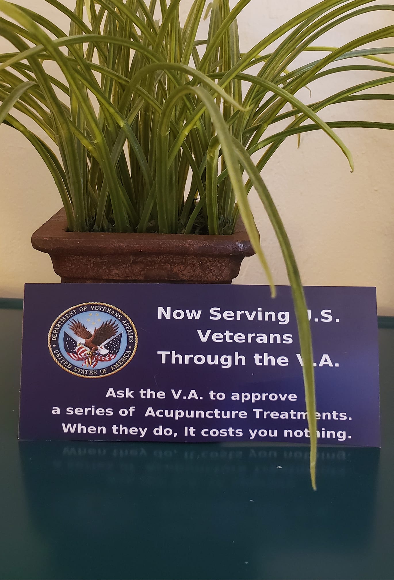 Sign for VA veterans acupuncture. Plant above, blue sign with text and logo.