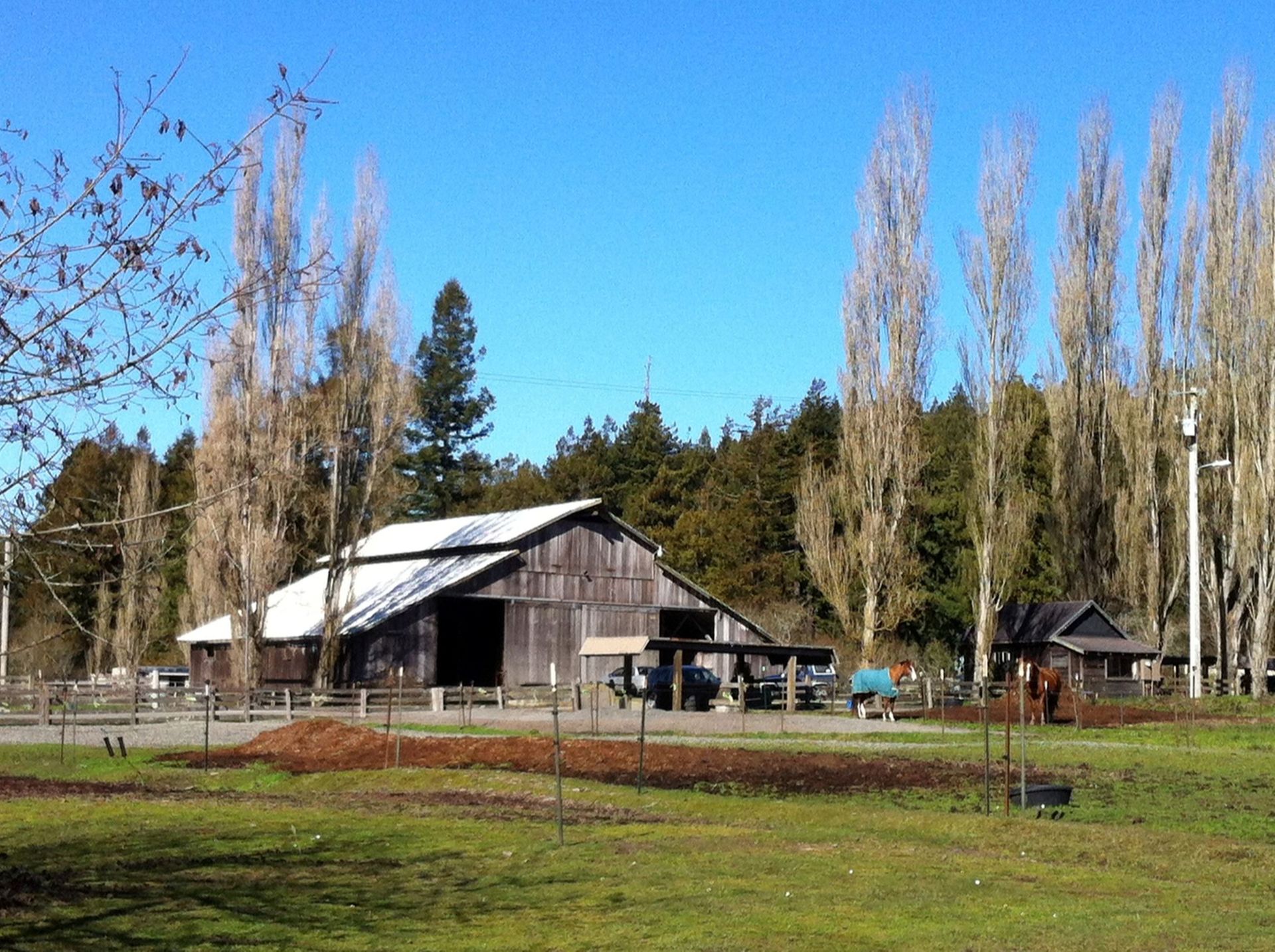 Stable Rentals Eureka, CA Freshwater Valley Stables