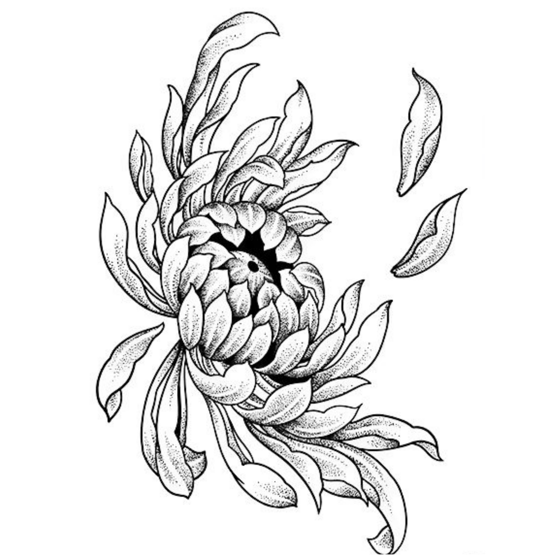 Black line-art floral tattoo on a person’s forearm, featuring a large chrysanthemum-like flower and leaves