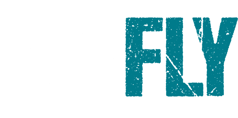 Teal distressed text reading “FLY” on a white background