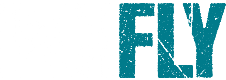 Teal distressed text reading “FLY” on a white background