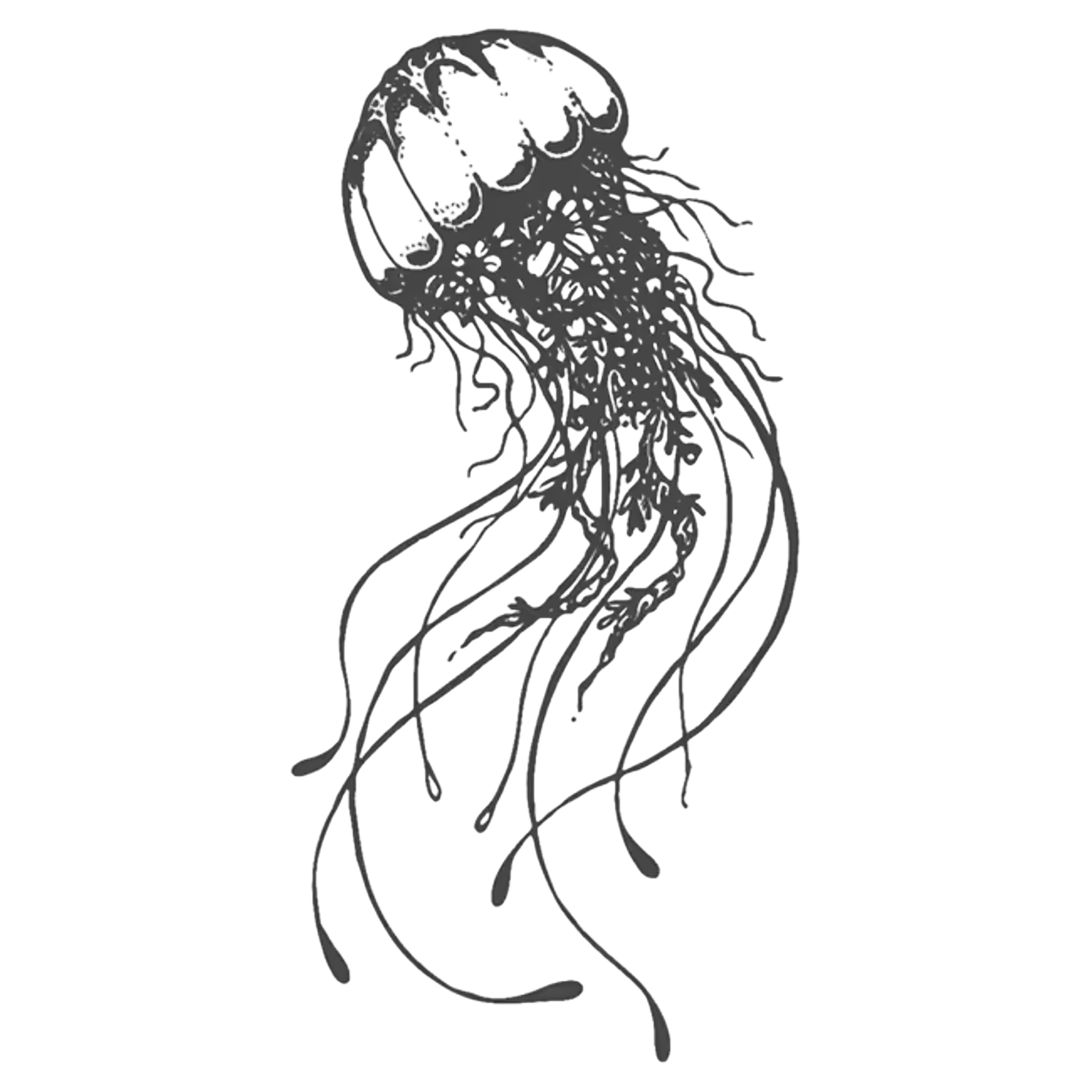 Black ink jellyfish tattoo on a person’s upper arm against a dark background