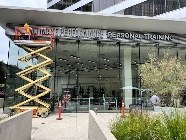 Neon sign for Ultimate Performance Personal Training. The words are illuminated with white lights.